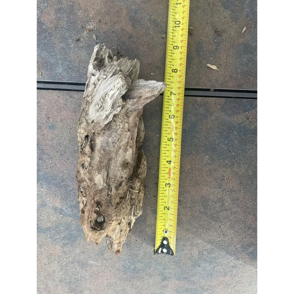 Natural Driftwood for Plants‎ Terrarium Taxidermy Art Projects